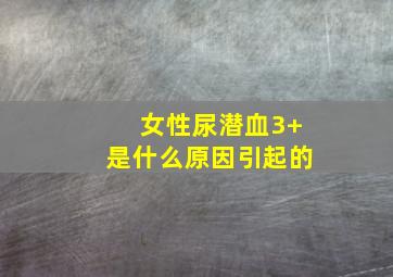 女性尿潜血3+是什么原因引起的