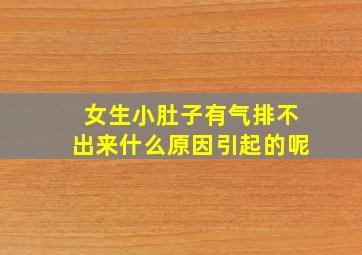 女生小肚子有气排不出来什么原因引起的呢