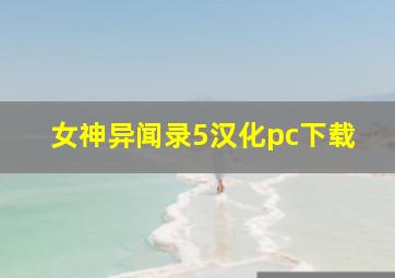 女神异闻录5汉化pc下载