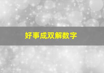 好事成双解数字