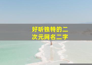 好听独特的二次元网名二字