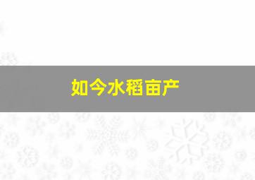 如今水稻亩产