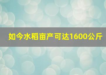 如今水稻亩产可达1600公斤