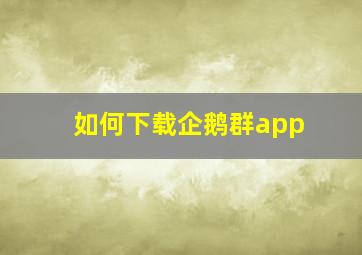 如何下载企鹅群app