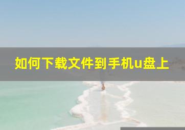 如何下载文件到手机u盘上