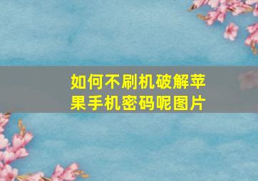 如何不刷机破解苹果手机密码呢图片