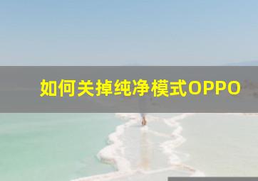 如何关掉纯净模式OPPO