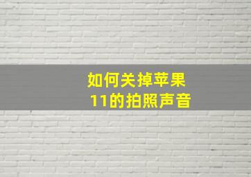 如何关掉苹果11的拍照声音