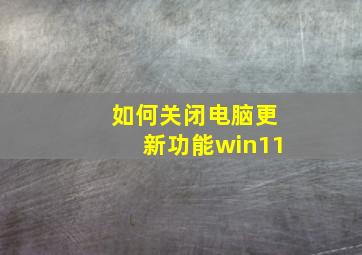 如何关闭电脑更新功能win11