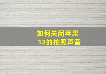 如何关闭苹果12的拍照声音