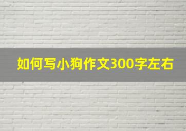 如何写小狗作文300字左右