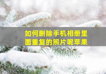 如何删除手机相册里面重复的照片呢苹果