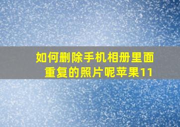 如何删除手机相册里面重复的照片呢苹果11