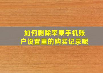 如何删除苹果手机账户设置里的购买记录呢