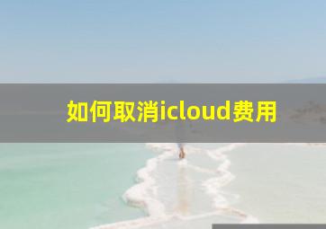 如何取消icloud费用