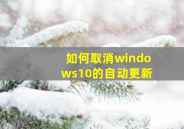 如何取消windows10的自动更新