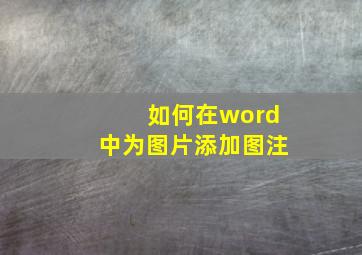 如何在word中为图片添加图注