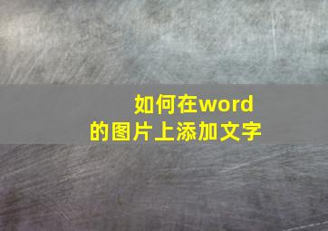 如何在word的图片上添加文字