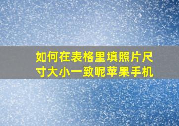 如何在表格里填照片尺寸大小一致呢苹果手机