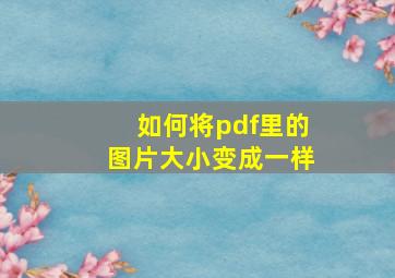 如何将pdf里的图片大小变成一样