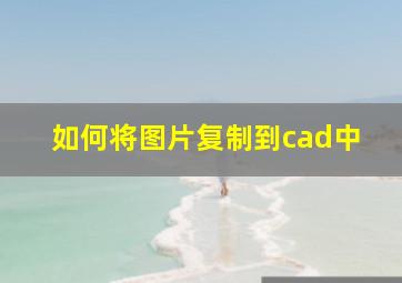 如何将图片复制到cad中