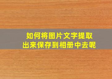 如何将图片文字提取出来保存到相册中去呢