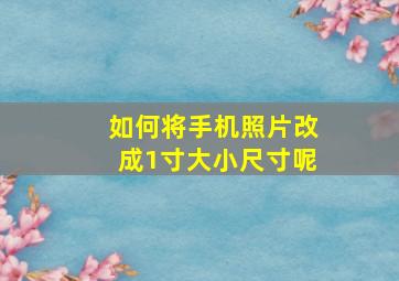 如何将手机照片改成1寸大小尺寸呢