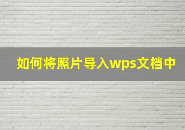 如何将照片导入wps文档中