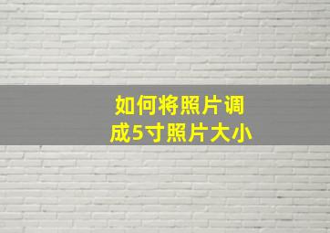 如何将照片调成5寸照片大小