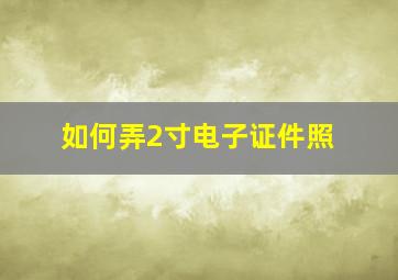 如何弄2寸电子证件照