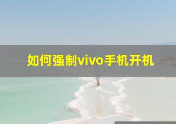 如何强制vivo手机开机