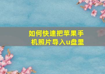 如何快速把苹果手机照片导入u盘里