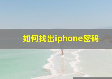 如何找出iphone密码