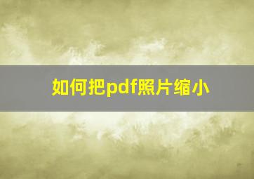 如何把pdf照片缩小