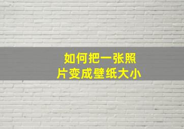 如何把一张照片变成壁纸大小