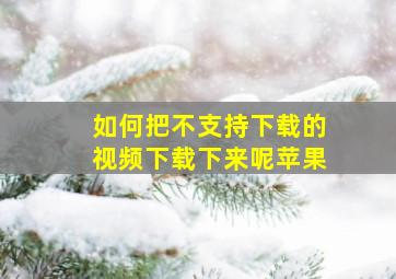 如何把不支持下载的视频下载下来呢苹果