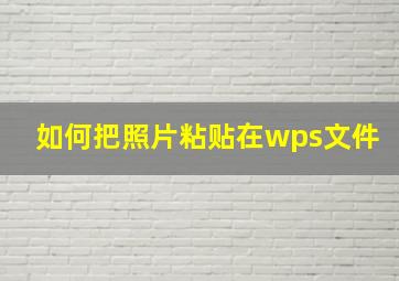 如何把照片粘贴在wps文件