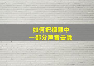 如何把视频中一部分声音去除