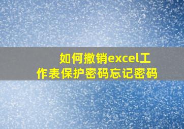 如何撤销excel工作表保护密码忘记密码