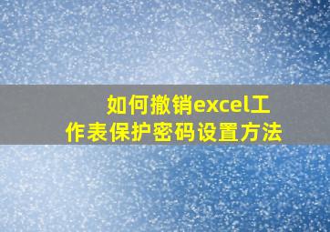 如何撤销excel工作表保护密码设置方法