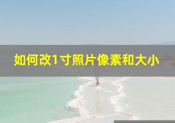 如何改1寸照片像素和大小