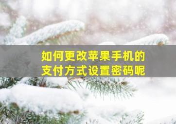 如何更改苹果手机的支付方式设置密码呢