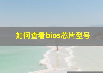 如何查看bios芯片型号