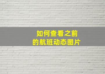 如何查看之前的航班动态图片