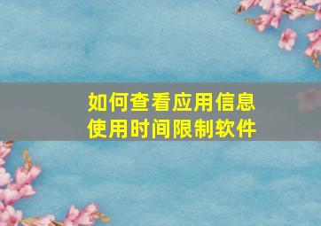 如何查看应用信息使用时间限制软件