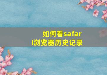 如何看safari浏览器历史记录