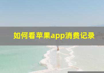 如何看苹果app消费记录