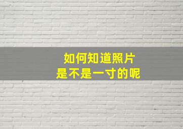 如何知道照片是不是一寸的呢