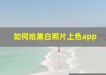 如何给黑白照片上色app