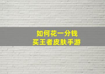 如何花一分钱买王者皮肤手游